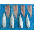 Chinese Frozen Fish Mackerel Fillet In Low Price